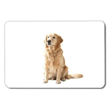 Floor Mat Style A/40*60CM