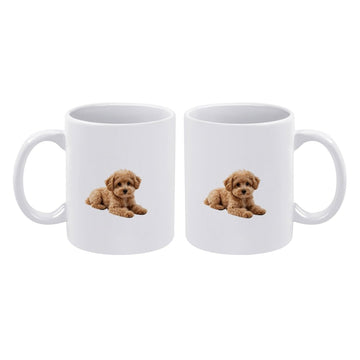 JJ0520024 Style 11 OZ