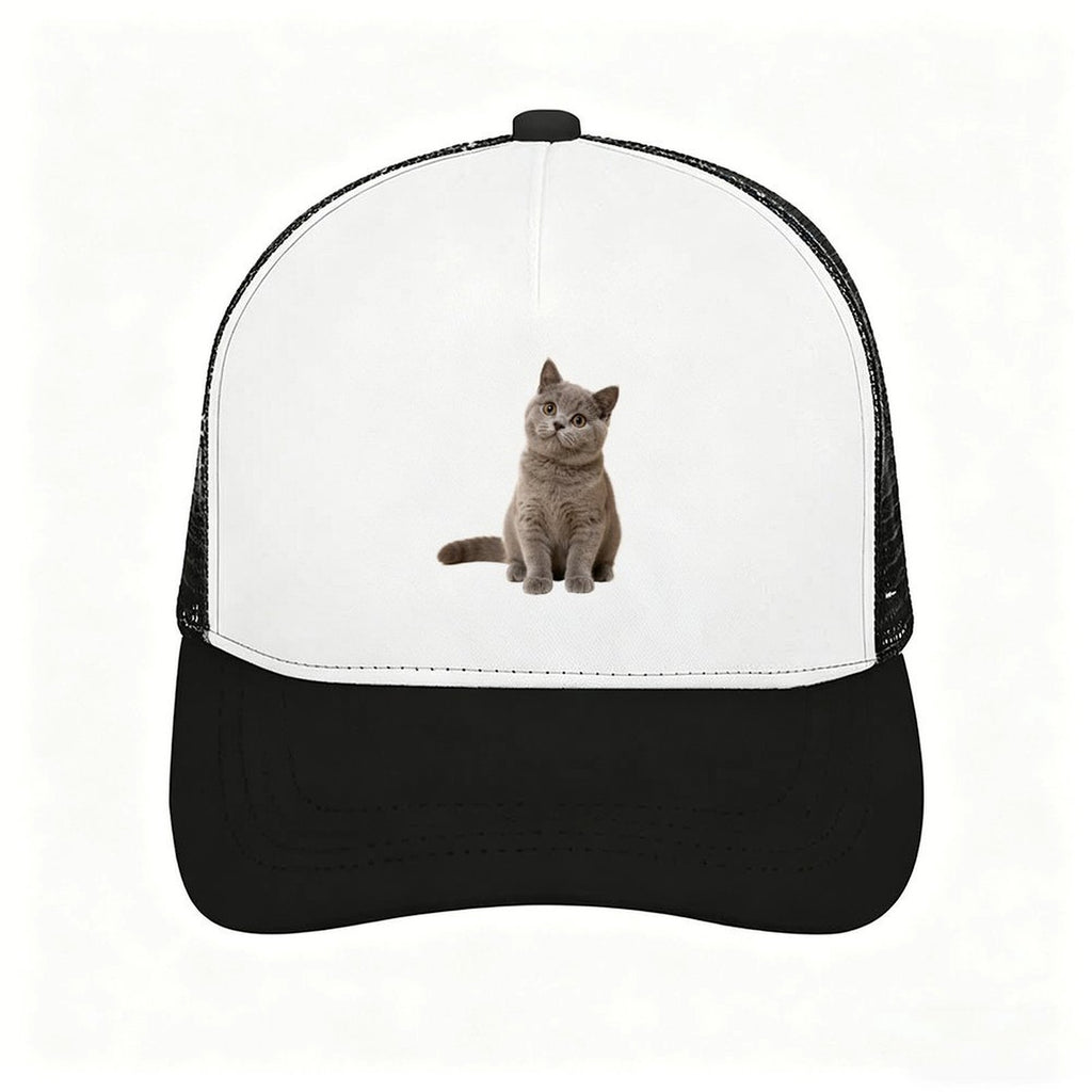 Adult Mesh Baseball Cap.